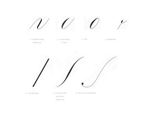 Working drawings for the book <i>Learning Curves</i>